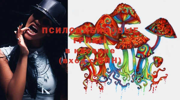 сатива Липки