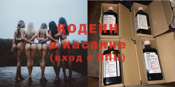 сатива Липки
