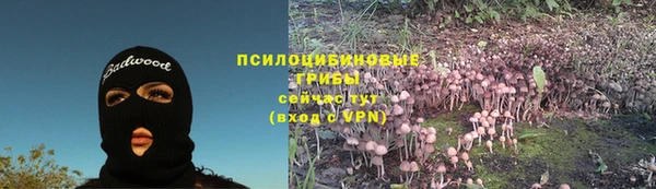 сатива Липки